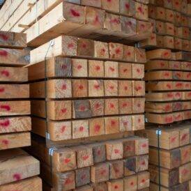 Timber 8x20 Pine